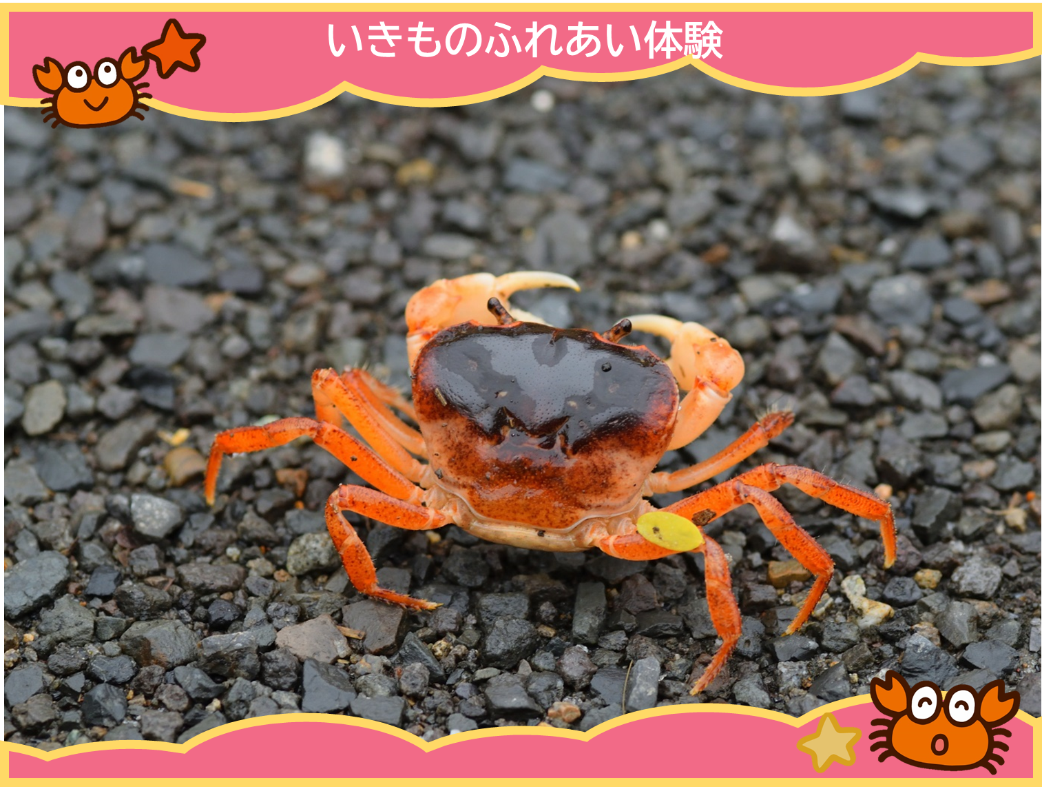 ※画像はイメージです