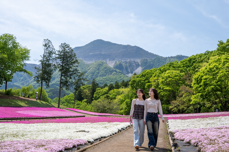 羊山公園