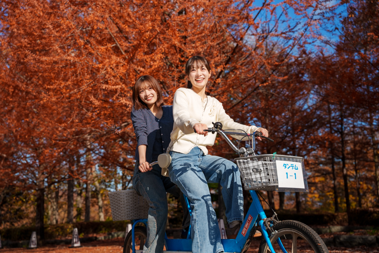 レンタサイクル