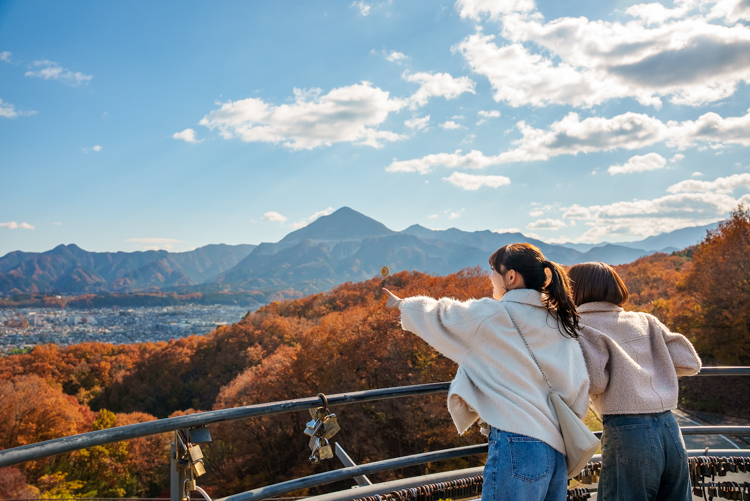 秩父ミューズパーク満喫プラン