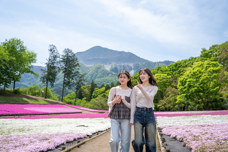 芝桜めぐりプラン