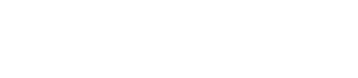 圧倒的な興奮とスリルに巻き込まれる体験