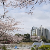 桜と掬水亭
