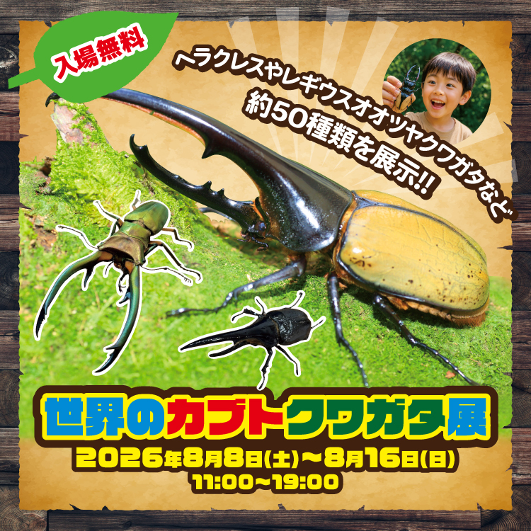 世界のカブトクワガタ展・縁日・ワークショップイベント