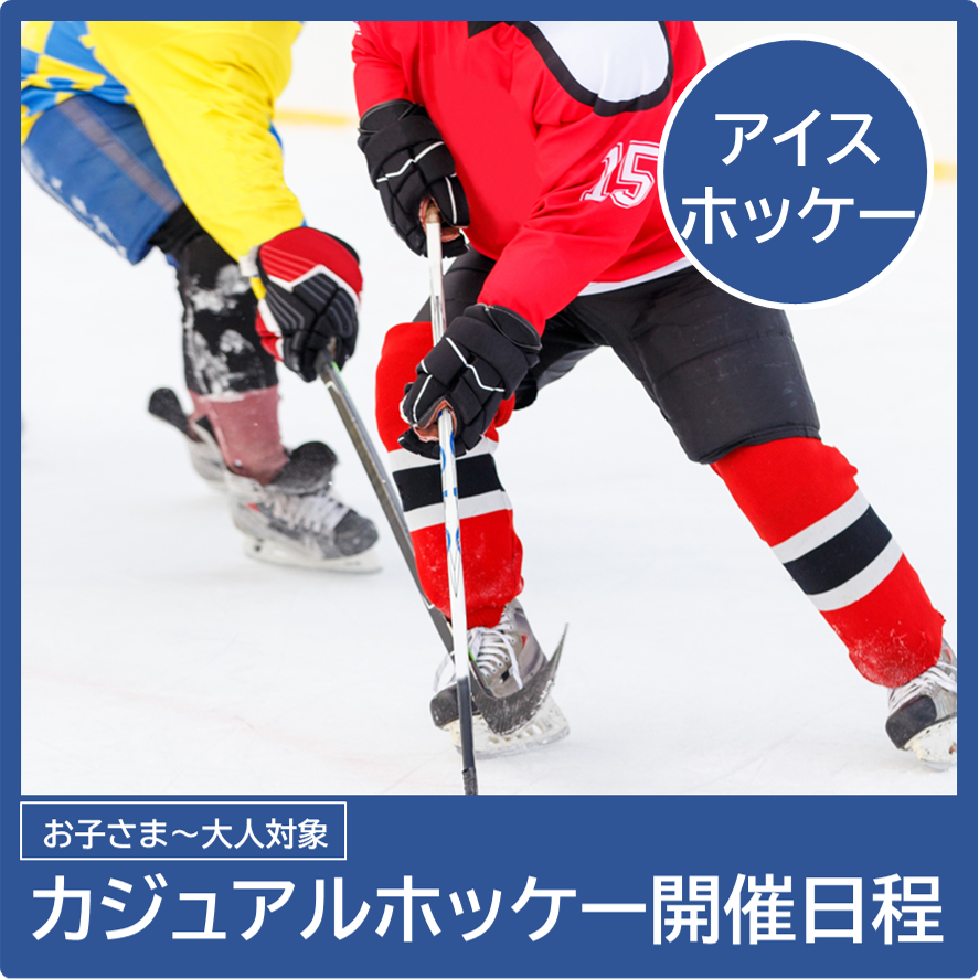 カジュアルホッケー