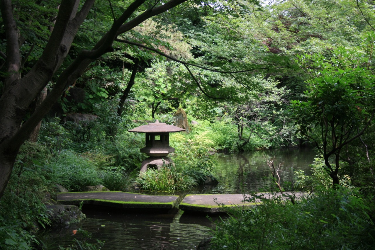 自然の音だけ、無音の贅沢