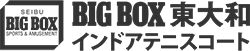 BIGBOX東大和インドアテニスコート